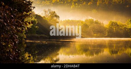 Nebelsee-Landschaft mit Herbstlaub und Baumreflexen in der Steiermark, Thal, Österreich Stockfoto