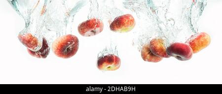 Bündel von Donut Pfirsiche isoliert auf weißem Hintergrund, spritzt in Wasser. Stockfoto