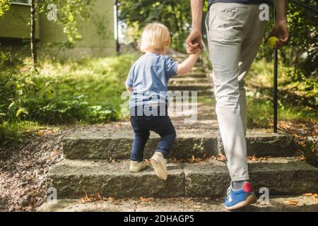 Niedriger Abschnitt von Mann und Sohn halten Hände während der Bewegung Die Treppe hoch im Park Stockfoto