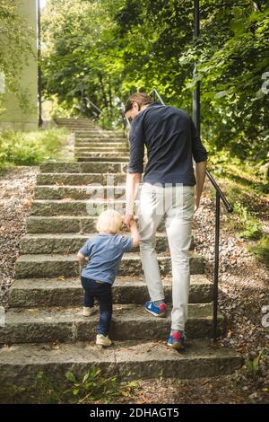 In voller Länge Rückansicht von Vater und Sohn halten Hände Beim Aufsteigen auf Stufen im Park Stockfoto