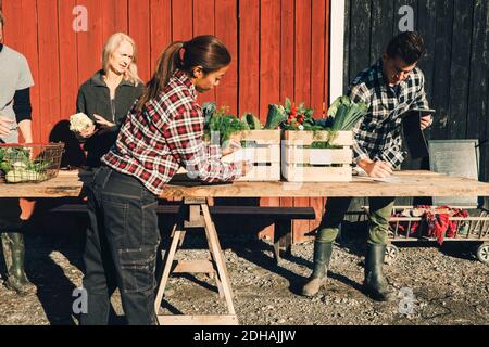 Männliche und weibliche Bauern verkaufen Bio-Gemüse auf dem Tisch draußen Stall Stockfoto