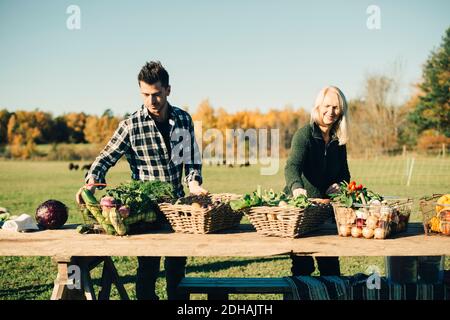 Männliche und weibliche Bauern arrangieren Bio-Gemüse zum Verkauf auf Tabelle Stockfoto