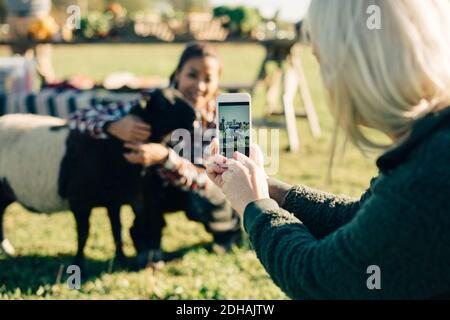 Reife Frau fotografieren Freund und Schafe mit Handy an Ein Stockfoto