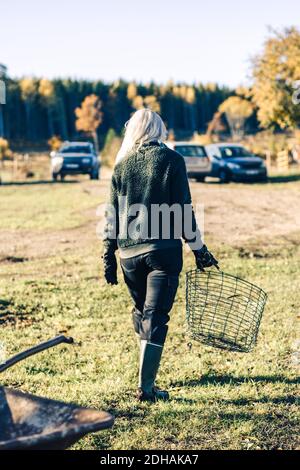 In voller Länge Rückansicht der reifen Frau mit leerem Korb Auf dem Feld Stockfoto