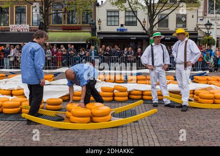 Alkmaar, Niederlande - 28. April 2017: Käseträger auf dem traditionellen Käsemarkt Stockfoto