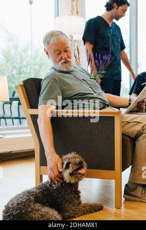 Rentner, der mit Zeitung auf dem Sessel sitzt, während er streichelte Hund von Freunden und Hausmeister bei älteren Krankenpflege hom Stockfoto