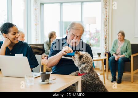 Lächelnde Krankenschwester, die den älteren Mann ansieht, der Hund füttert Altersheim Stockfoto