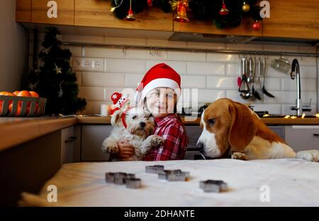 Kleines Mädchen mit ihren Hunden, die am Heiligabend in der Küche spielen. Stockfoto