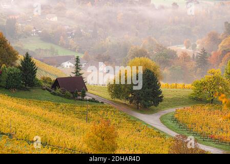 Herbstansicht von der südsteirischen Route in Österreich auf den Hügeln in Slowenien während der Sonnenaufhebung. Stockfoto