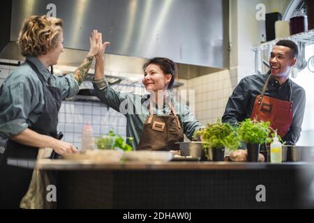 Glücklicher männlicher Koch, der weibliche Kollegen ansieht, die High-Five in geben Restaurant Küche Stockfoto
