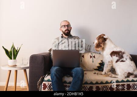 Mann, der zu Hause arbeitet, Hund, der Aufmerksamkeit sucht. Remote arbeiten, Sperren, Quarantäne Lifestyle-Konzept: Versuchen, online von zu Hause aus mit Haustieren chatten Stockfoto