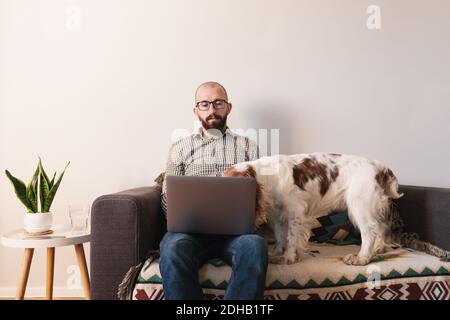 Mann, der zu Hause arbeitet, Hund, der Aufmerksamkeit sucht. Remote arbeiten, Sperren, Quarantäne Lifestyle-Konzept: Versuchen, online von zu Hause aus mit Haustieren chatten Stockfoto
