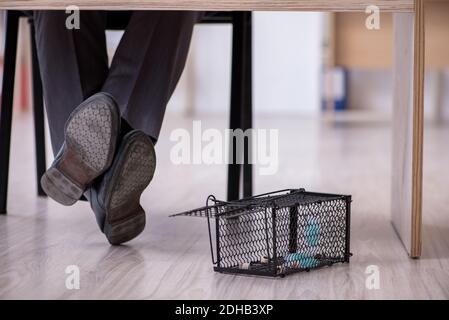 Junger männlicher Angestellter und Mausefalle im Büro Stockfoto
