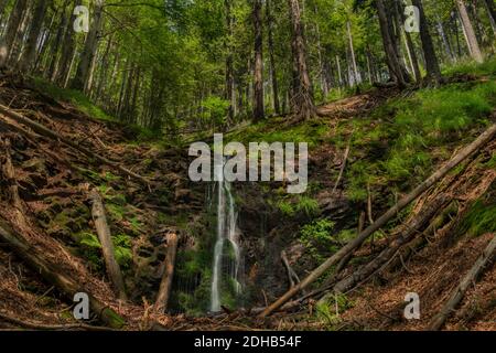 Wasserfall in der Nähe von Kouty nad Desnou Dorf im Sommer Tag in Wald Stockfoto