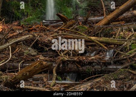 Wasserfall in der Nähe von Kouty nad Desnou Dorf im Sommer Tag in Wald Stockfoto