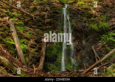 Wasserfall in der Nähe von Kouty nad Desnou Dorf im Sommer Tag in Wald Stockfoto