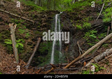 Wasserfall in der Nähe von Kouty nad Desnou Dorf im Sommer Tag in Wald Stockfoto