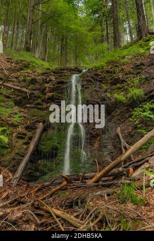 Wasserfall in der Nähe von Kouty nad Desnou Dorf im Sommer Tag in Wald Stockfoto