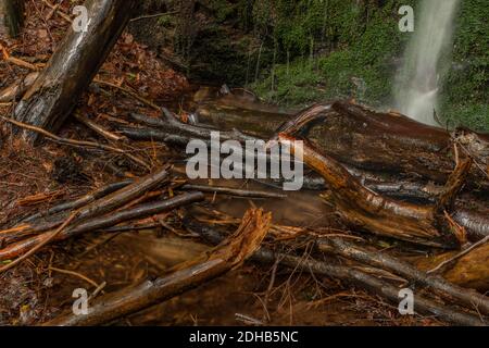 Wasserfall in der Nähe von Kouty nad Desnou Dorf im Sommer Tag in Wald Stockfoto