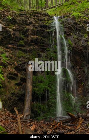 Wasserfall in der Nähe von Kouty nad Desnou Dorf im Sommer Tag in Wald Stockfoto