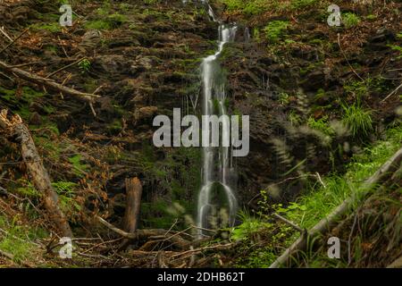 Wasserfall in der Nähe von Kouty nad Desnou Dorf im Sommer Tag in Wald Stockfoto