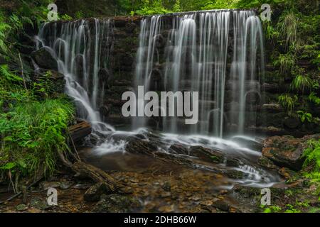 Wasserfall in der Nähe von Kouty nad Desnou Dorf im Sommer Tag in Wald Stockfoto