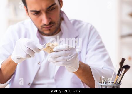 Junger männlicher Archäologe, der im Labor arbeitet Stockfoto