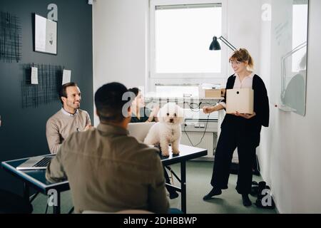 Lächelnde, multiethnische Kollegen aus der Geschäftswelt diskutieren im Vorstandszimmer bei Creative Büro Stockfoto