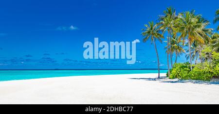 Sommerstrandbanner. Küste, Ufer mit weißen Sandpalmen endloser Meerblick. Ruhige Natur, Aussicht zum Entspannen. Tropisches idyllisches Paradies Inselpanorama Stockfoto