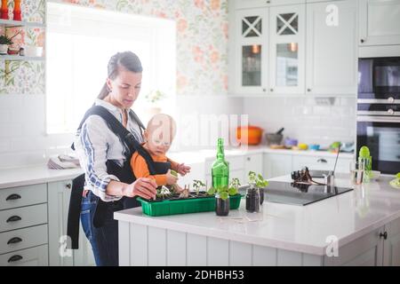 Arbeitende Mutter Pflanzen in Container Pflanzen, während sie ihre Tochter in sich trägt Küche zu Hause Stockfoto