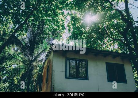 Niedriger Winkel Blick auf Strandhaus und Bäume auf sonnig Tag Stockfoto