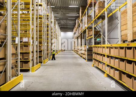 Volle Länge der reifen weiblichen Lagerarbeiter schieben Wagen auf Gang im Industriegebäude Stockfoto