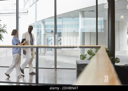 Volle Länge der mittleren Erwachsenen Gesundheitsarbeiter diskutieren während des Gehens Im Flur im Krankenhaus Stockfoto