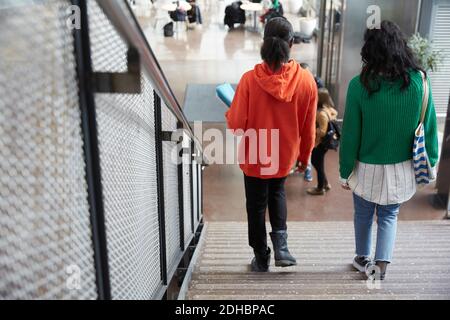 Rückansicht von Freundinnen, die sich auf Stufen nach unten bewegen universität Stockfoto