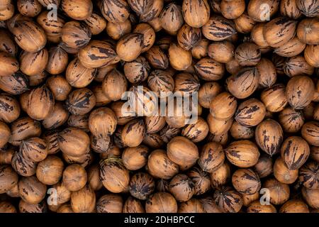 Viele Pekannüsse in einer Schachtel Stockfoto