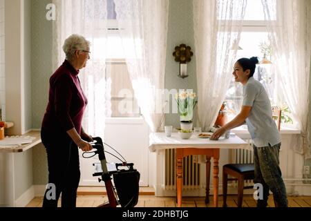 Lächelnde junge weibliche Betreuerin serviert Frühstück, während Blick auf Rentner Ältere Frau mit Rollator in der Krankenpflege zu Fuß Stockfoto