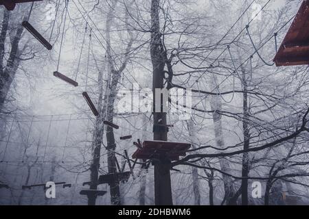 Leere Adrenalin Seil Spielplatz in Baumstämmen in nebligen und Nebliger Winterwald Stockfoto