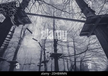 Leere Adrenalin Seil Spielplatz in Baumstämmen in nebligen und Nebliger Winterwald Stockfoto