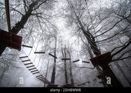 Leere Adrenalin Seil Spielplatz in Baumstämmen in nebligen und Nebliger Winterwald Stockfoto