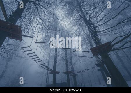 Leere Adrenalin Seil Spielplatz in Baumstämmen in nebligen und Nebliger Winterwald Stockfoto