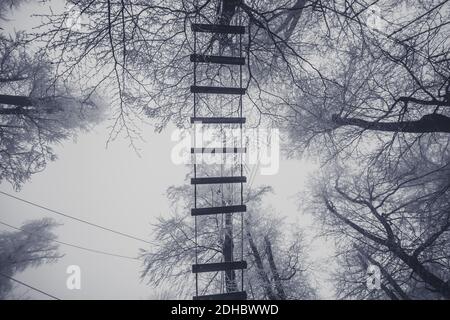 Leere Adrenalin Seil Spielplatz in Baumstämmen in nebligen und Nebliger Winterwald Stockfoto