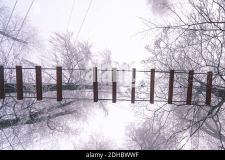 Leere Adrenalin Seil Spielplatz in Baumstämmen in nebligen und Nebliger Winterwald Stockfoto