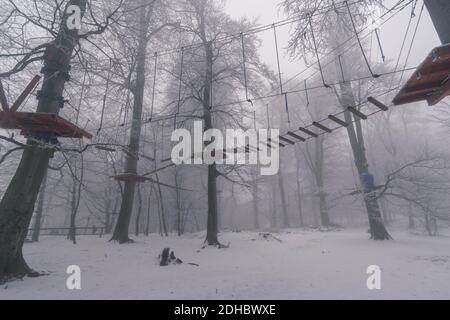 Leere Adrenalin Seil Spielplatz in Baumstämmen in nebligen und Nebliger Winterwald Stockfoto