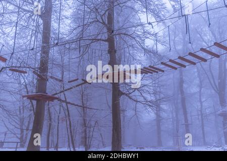 Leere Adrenalin Seil Spielplatz in Baumstämmen in nebligen und Nebliger Winterwald Stockfoto