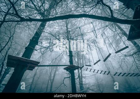 Leere Adrenalin Seil Spielplatz in Baumstämmen in nebligen und Nebliger Winterwald Stockfoto