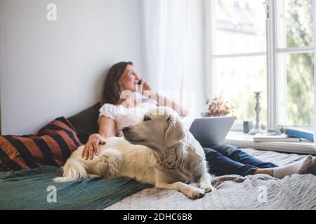 Frau berührt Hund, während durch Handy auf dem Bett reden Zu Hause Stockfoto