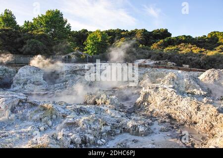 Dämpfen Schlammpfützen, Hell's Gate und WaiOra Spa, Rotorua, Bucht von viel Region, Nordinsel, Neuseeland Stockfoto