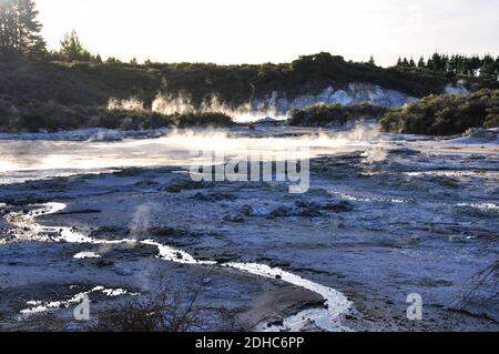 Dämpfen Schlammpfützen, Hell's Gate und WaiOra Spa, Rotorua, Bucht von viel Region, Nordinsel, Neuseeland Stockfoto