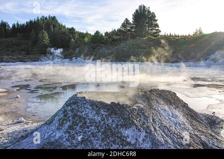 Küche, Pool, Hells Gate und WaiOra Spa, Rotorua, Bucht von viel Raum, North Island, Neuseeland Stockfoto