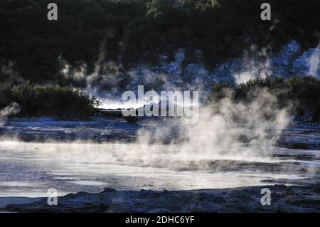 Dämpfen Schlammpfützen, Hell's Gate und WaiOra Spa, Rotorua, Bucht von viel Region, Nordinsel, Neuseeland Stockfoto